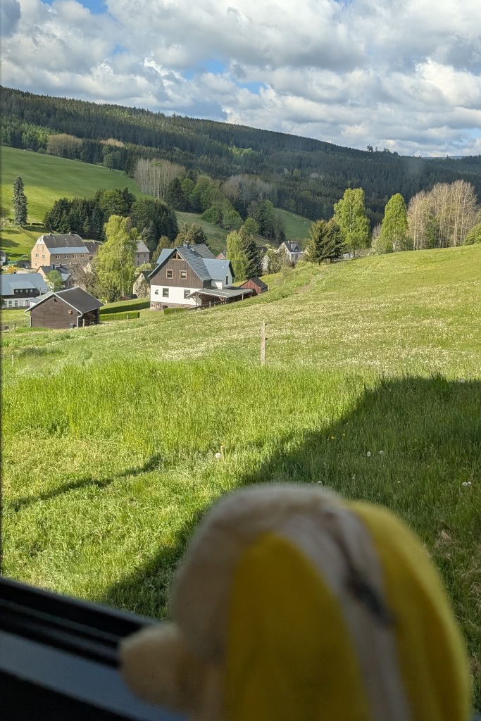 Frühjahrskrümelrandori (Promobildchen)